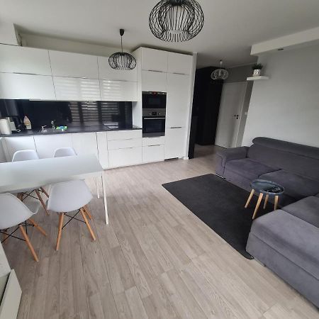 Apartament Rodzinny Z Ogrodkiem กดัญสก์ ภายนอก รูปภาพ